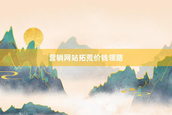 营销网站拓荒价钱领路