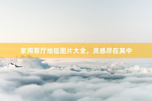 家用客厅地毯图片大全，灵感尽在其中